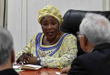 Guinée: les ministres de la Pêche, et des Affaires Etrangères, limogés