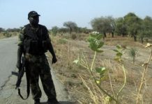 Cameroun: une fête de la Jeunesse marquée par des violences en régions anglophones