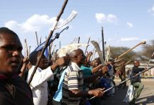 Nigeria: au moins 16 morts dans des violences entre éleveurs et agriculteurs