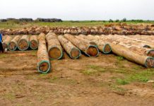 Bois de guerre au Liberia: reprise de l’instruction visant DLH