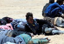 Trafic des migrants: adoption d’une série de mesures contre la pratique à Niamey