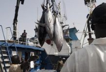 Pêche illégale en Afrique de l’ouest: la Chine sanctionne