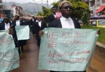 Cameroun: un leader anglophone condamné à 15 ans de prison pour « terrorisme »