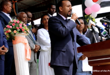 Le Premier ministre éthiopien favorable à une « démocratie multipartite »