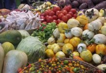 Afrique sub-saharienne: « forte croissance » de la production agricole d’ici 2027