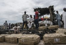 La malédiction Boko Haram continue de frapper la pêche, principale richesse du lac Tchad