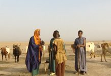 Mali: 33 Peuls tués par des chasseurs dogons