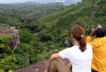 Afrique: 32,9 millions d’emplois seront créés grâce au secteur touristique d’ici 2029 (WTTC)