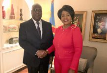 President Tchisekedi is open to the idea of building a « Wakanda » in the DRC