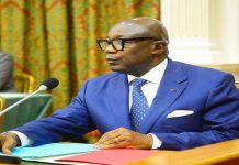 Gabon: le vice-président et le ministre des Forêts limogés