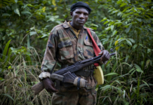 Le chef de la rébellion rwandaise des FDLR tué en RDC