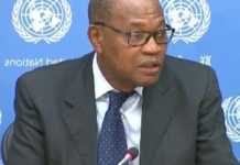 L’apaisement du climat politique est une nécessité en Guinée (Ibn Chambas)