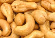 Côte d’Ivoire: 200 000 tonnes d’anacarde seront enlevées à des prix rémunérateurs subventionnés