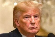 Etats-Unis: Trump gèle les cartes vertes et de nombreux visas de travail jusqu’en 2021