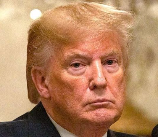 Etats-Unis: Trump gèle les cartes vertes et de nombreux visas de travail jusqu’en 2021
