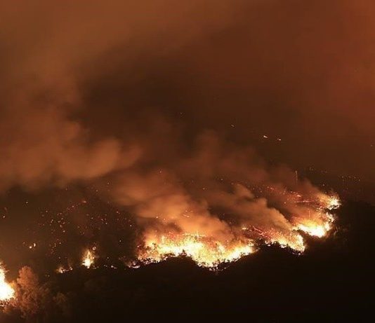 Niger: une vingtaine d’écoliers tués dans un incendie