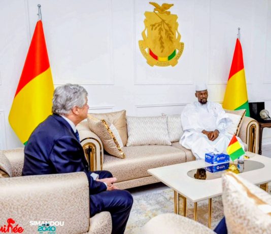 Le ministre du Commerce français à Conakry, porteur d’un message